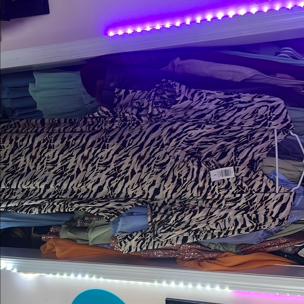 Zebra Print Long Sleeve Dress